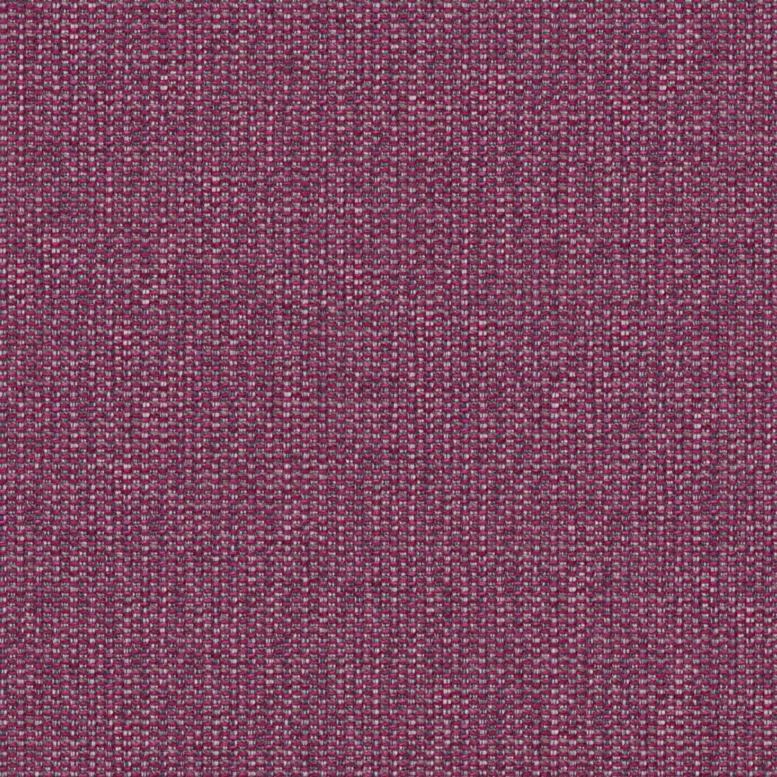 Текстил Roma 81-Fuchsia