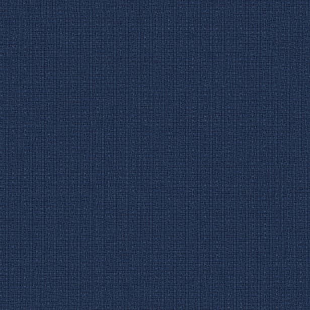 Текстил Exceed 07-Indigo