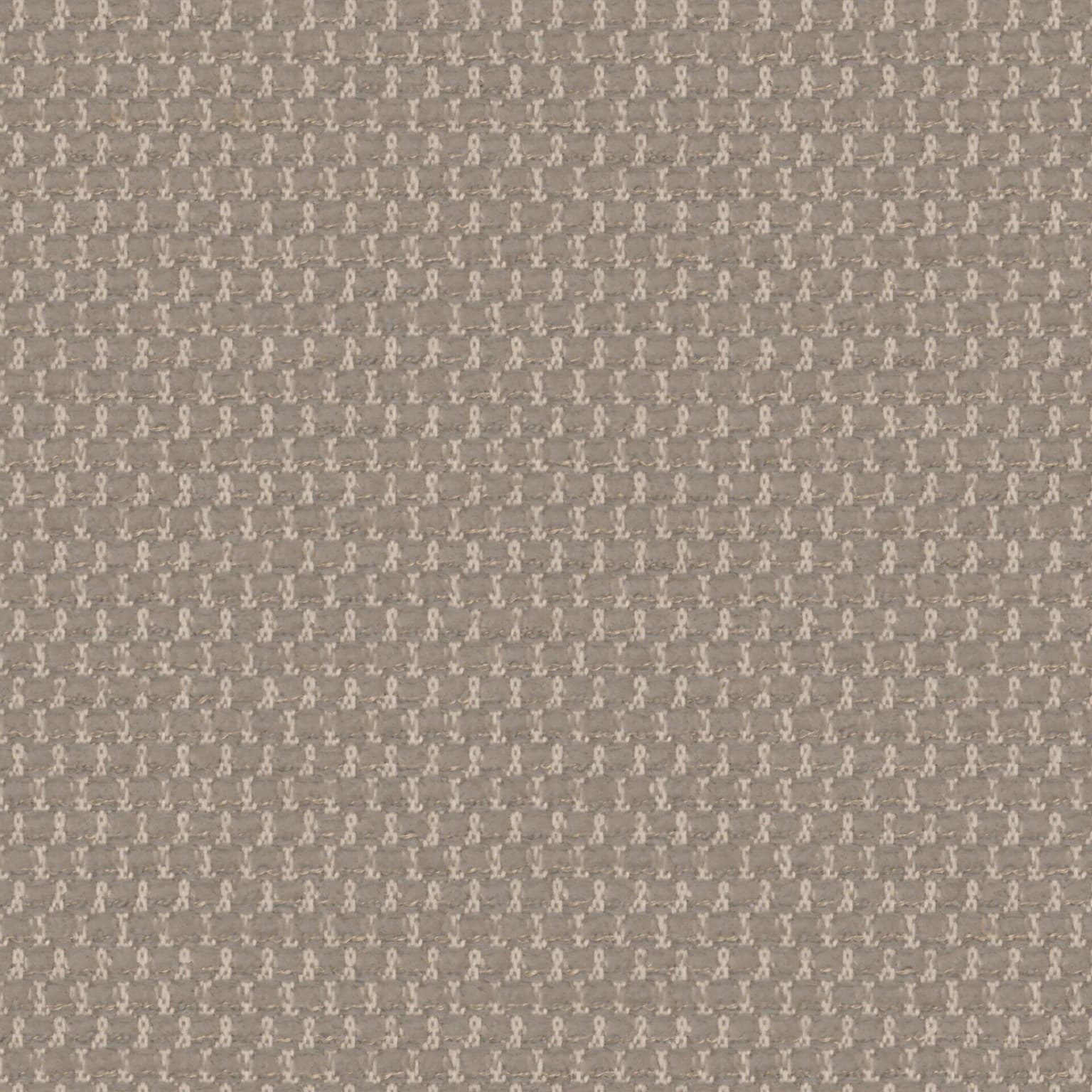 Текстил Swim 02-Mushroom